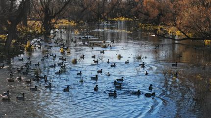 Property in Scotts Bluff County, Nebraska