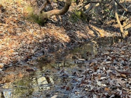 Property for sale in Oconee County, South Carolina