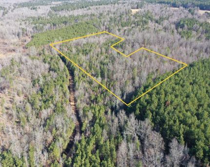 Property in Dallas County, Arkansas