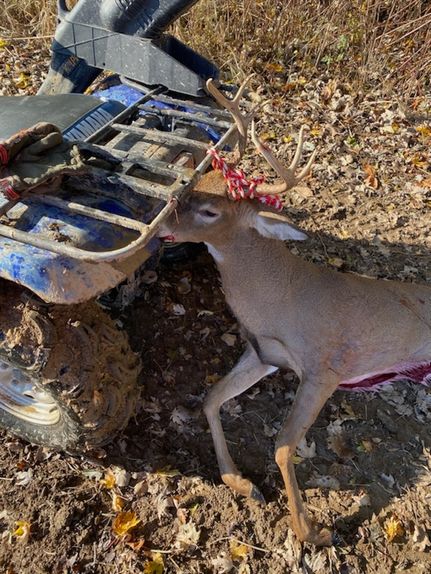 Property in Warrick County, Indiana