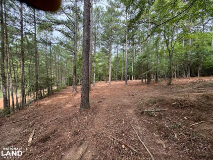 Property in Hickman County, Tennessee