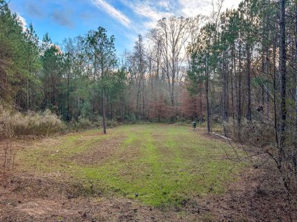 Property in Coosa County, Alabama