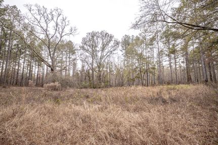 Property in Amite County, Mississippi