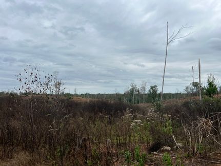 Property in Monroe County, Alabama