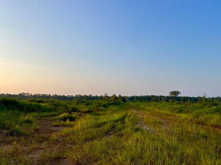 Property in Hale County, Alabama