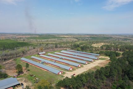 Property in Henry County, Alabama