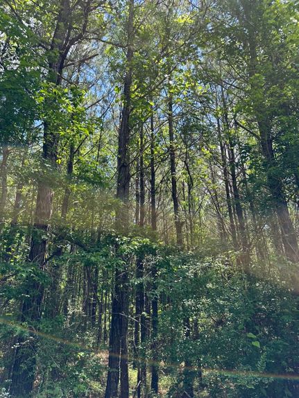 Property in Escambia County, Alabama