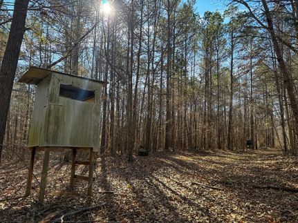 Property in Holmes County, Mississippi