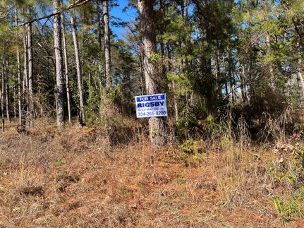 Residential Property for sale in Butler County, Alabama