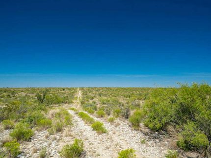 Property in Terrell County, Texas