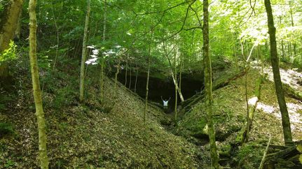 Property in Gallia County, Ohio