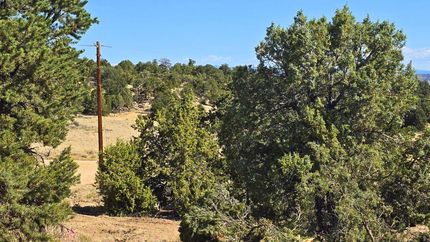 Undeveloped Land for sale in Duchesne County, Utah