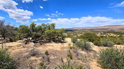 Undeveloped Land for sale in Duchesne County, Utah