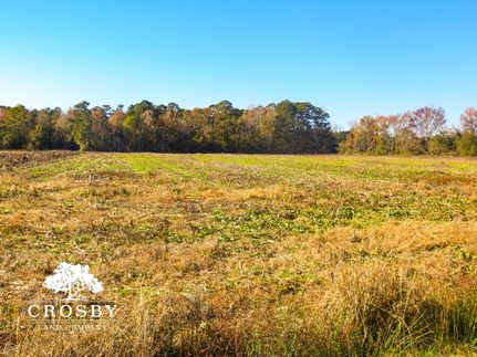 Property in Florence County, South Carolina