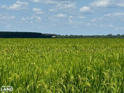 Property in Arkansas County, Arkansas