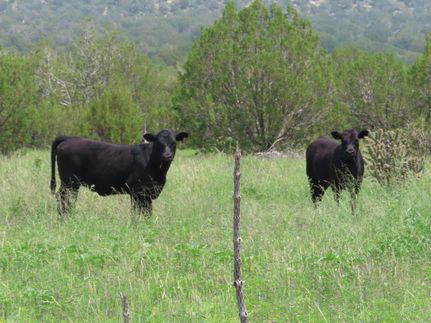 Property for sale in Lincoln County, New Mexico