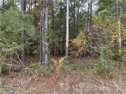 Property for sale in Robeson County, North Carolina