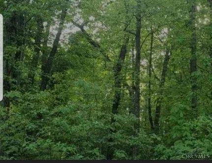 Property in Brown County, Ohio