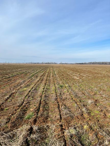 Property for sale in Lonoke County, Arkansas