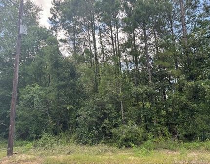 Property in Calcasieu Parish, Louisiana