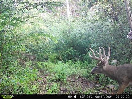 Property for sale in Morgan County, Georgia