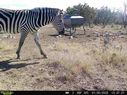 Property for sale in Sutton County, Texas