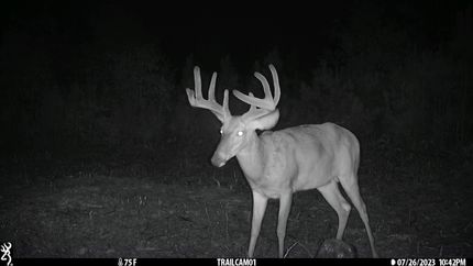 Property in Hancock County, Georgia