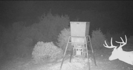 Property for sale in Edwards County, Texas