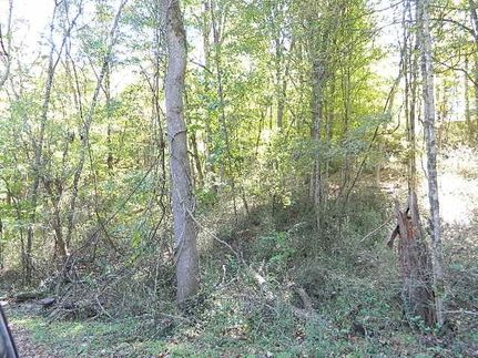 Property in Smyth County, Virginia