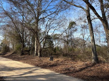 Undeveloped Land for sale in Pike County, Alabama