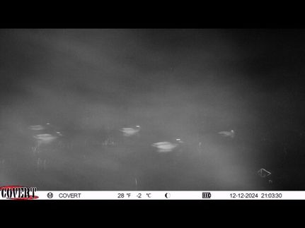 Property in White County, Arkansas