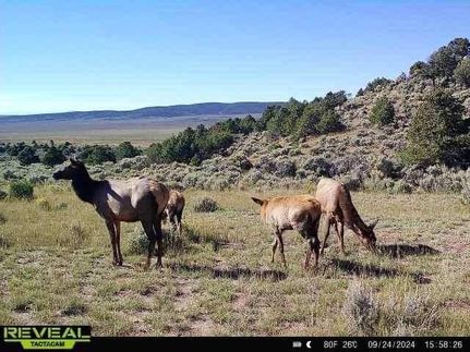 Property in Taos County, New Mexico