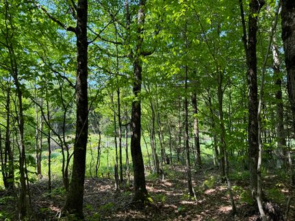 Recreational Property for sale in Lewis County, New York