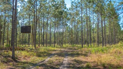 Property in Alachua County, Florida