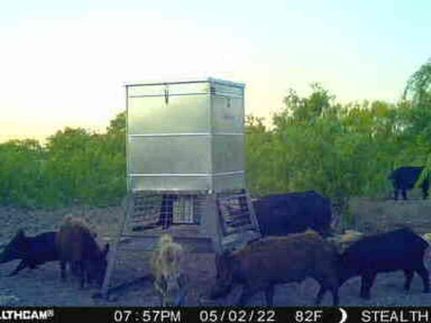 Property in McCulloch County, Texas