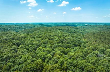 Property for sale in McDonald County, Missouri