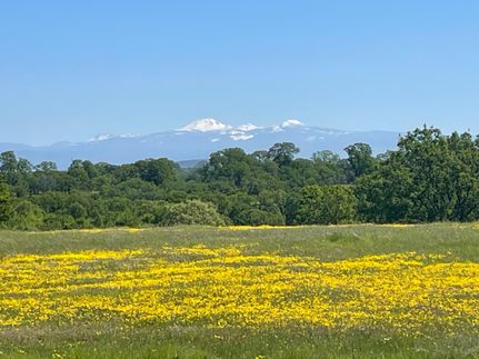 Property for sale in Tehama County, California