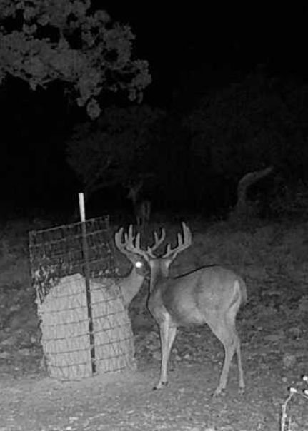 Property for sale in Edwards County, Texas