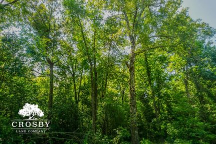 Property in Orangeburg County, South Carolina