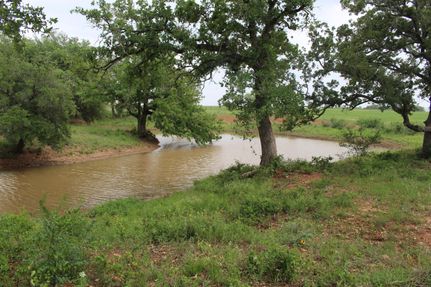 Property for sale in Guadalupe County, Texas