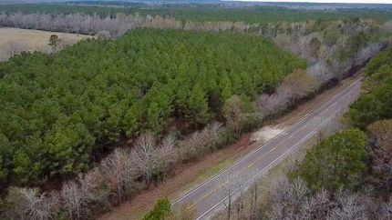 Hunting Land for sale in Trinity County, Texas