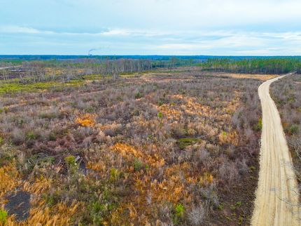 Property in Atkinson County, Georgia