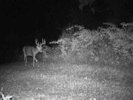 Property in Putnam County, Missouri