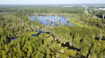 Property for sale in Shelby County, Tennessee