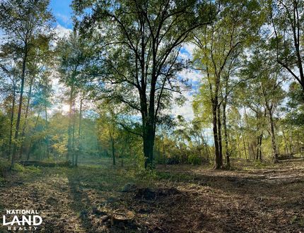 Property in Telfair County, Georgia