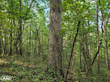 Property in Franklin County, Alabama