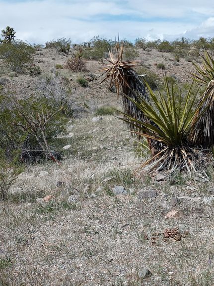 Property for sale in Mohave County, Arizona