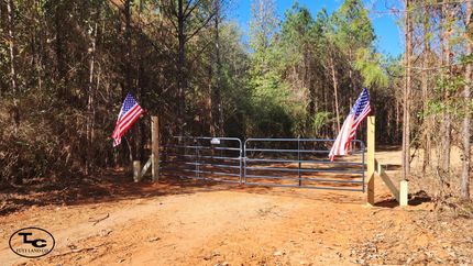 Property in Hale County, Alabama