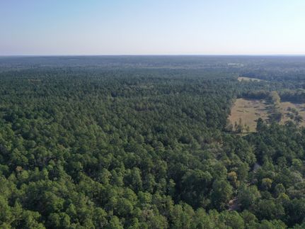 Property for sale in Trinity County, Texas