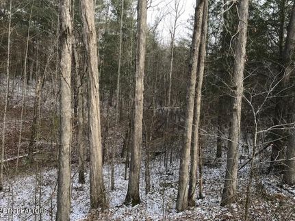 Property for sale in Scott County, Tennessee